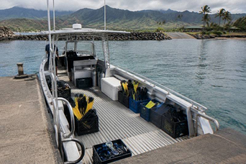 Snorkel Cruise, Lunch Included