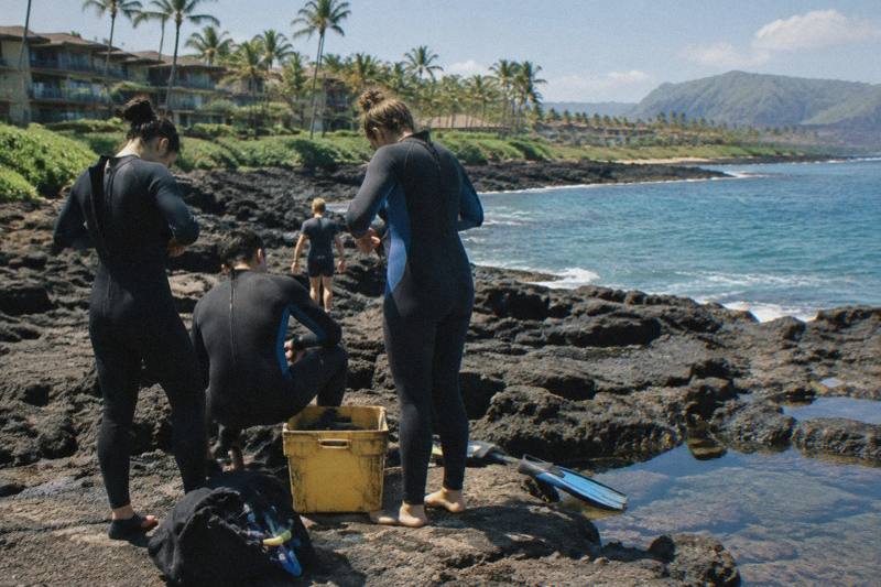Small-Group Turtle Snorkel