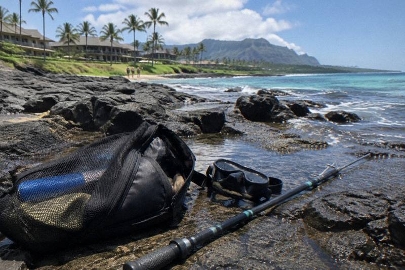 Beginner Spearfishing Lesson