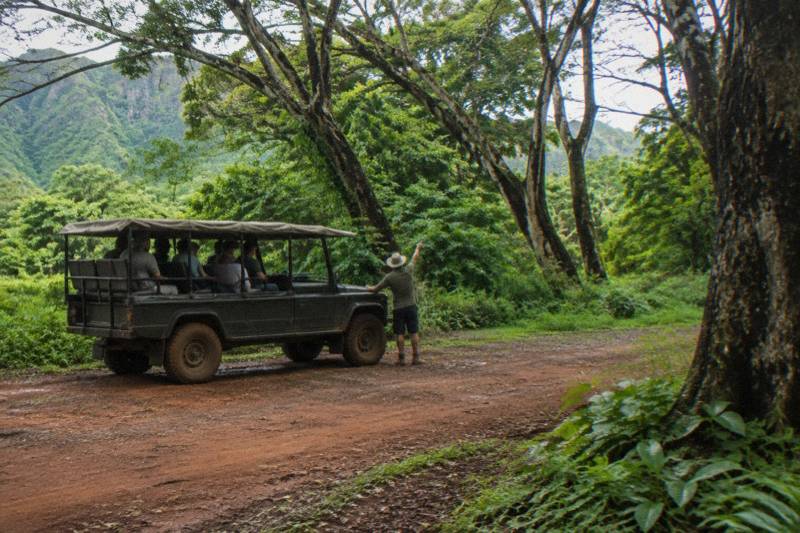 Private Movie Tour from Lihue