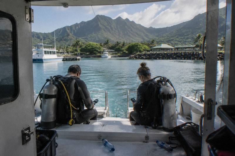Morning Charter, Experienced Divers