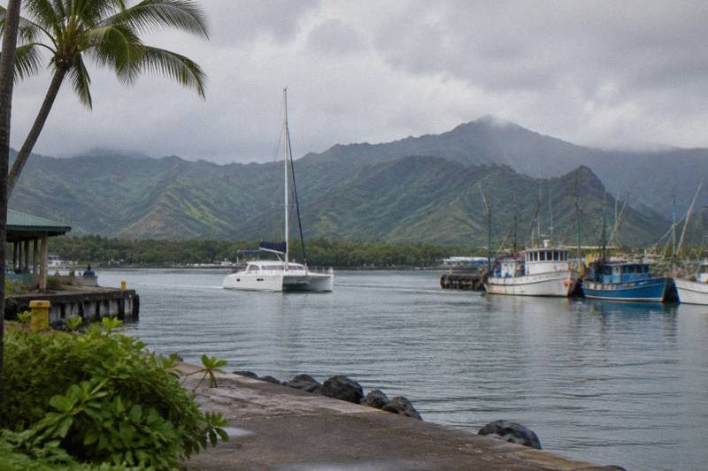 Lady Kailani Catamaran Snorkel