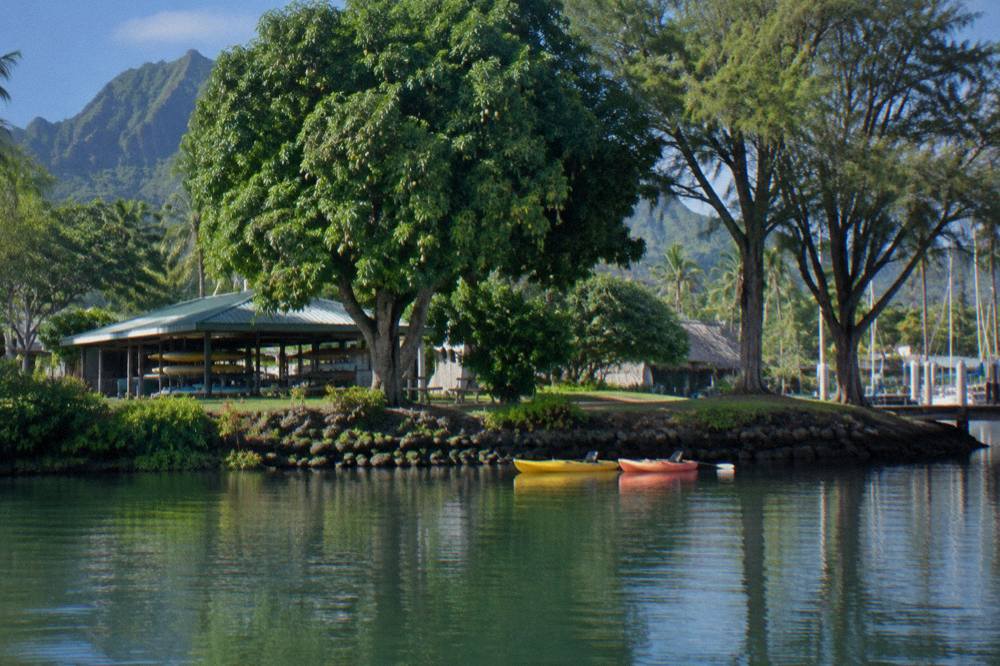 Two kayaks floating on a wide calm river bordered by tall tropical trees