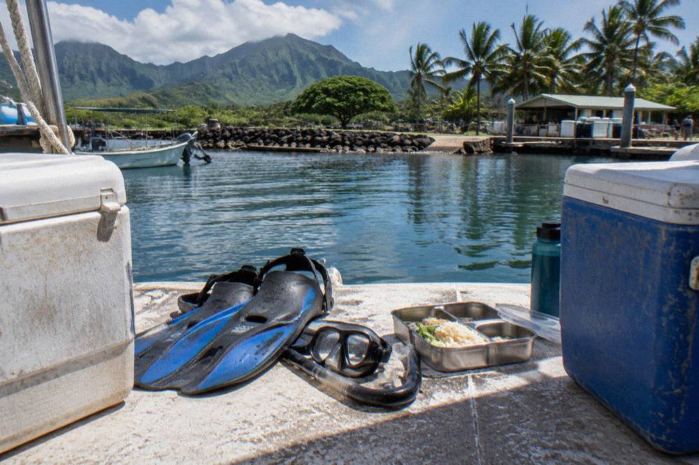 Snorkel gear and a lunch tray laid out on the deck of a boat