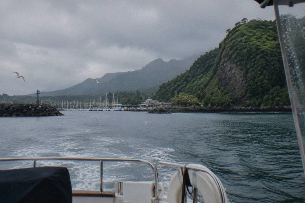A small boat cruising along a steep green coastline with cliffs meeting the ocean