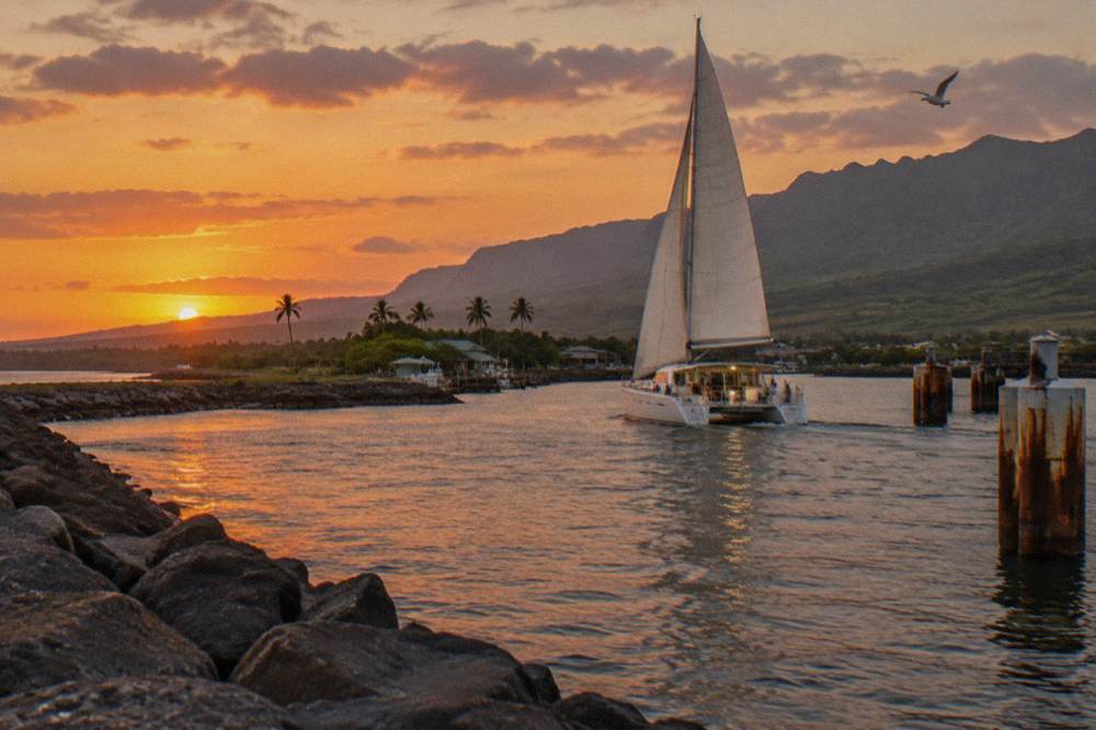 A catamaran under sail returning to harbor at sunset along the Kauai coast