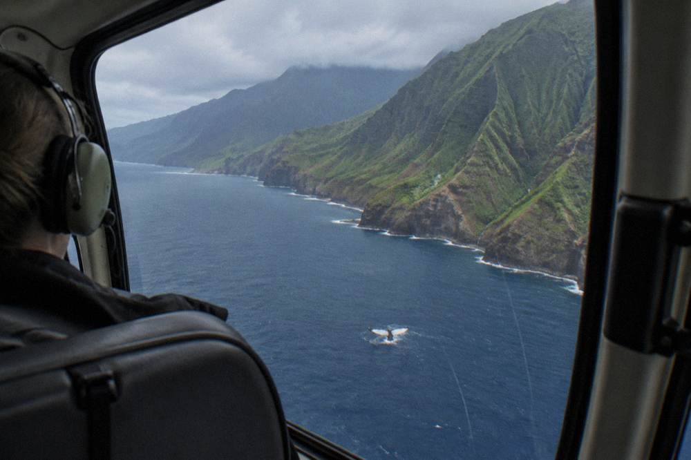 A helicopter flying along a tall coastal cliff with blue ocean below