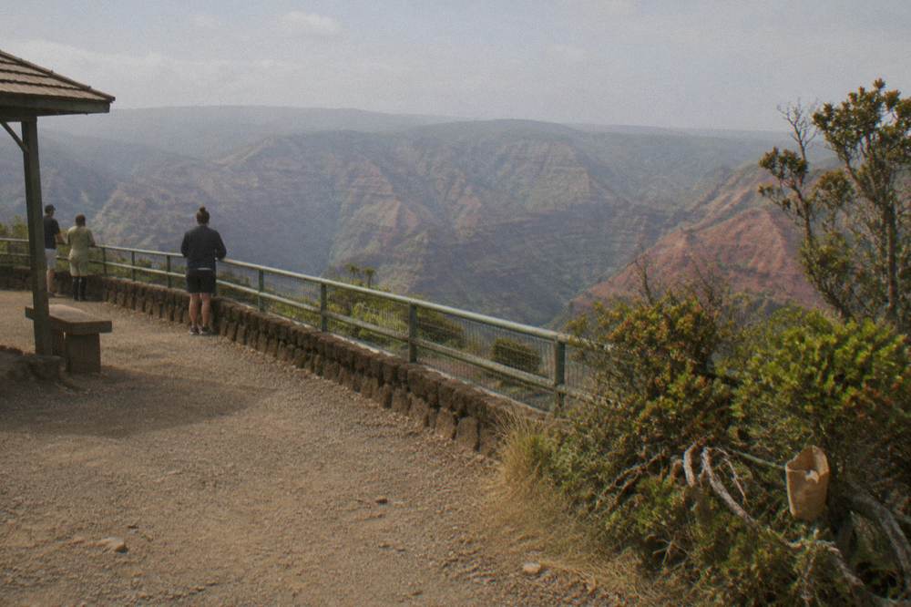 An overlook above a deep green canyon with layered ridges fading into haze