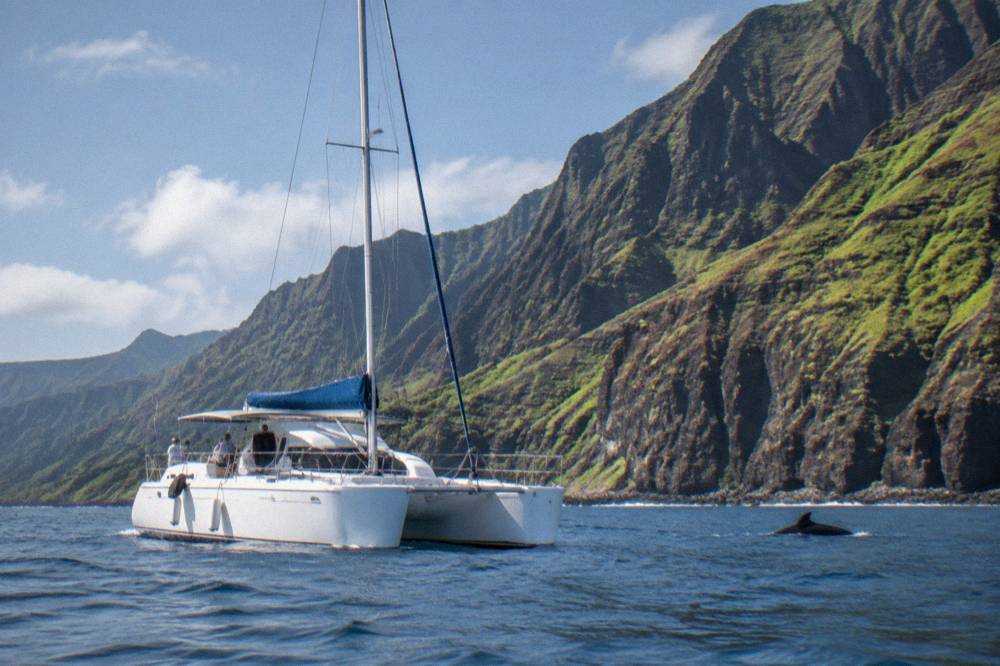 A catamaran cruising close to tall green sea cliffs on a calm morning