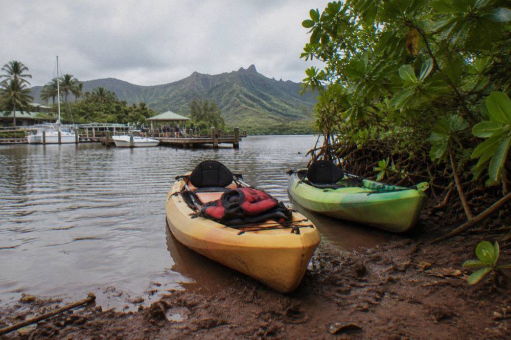 Two kayaks beached on a muddy riverbank at the edge of dense green jungle