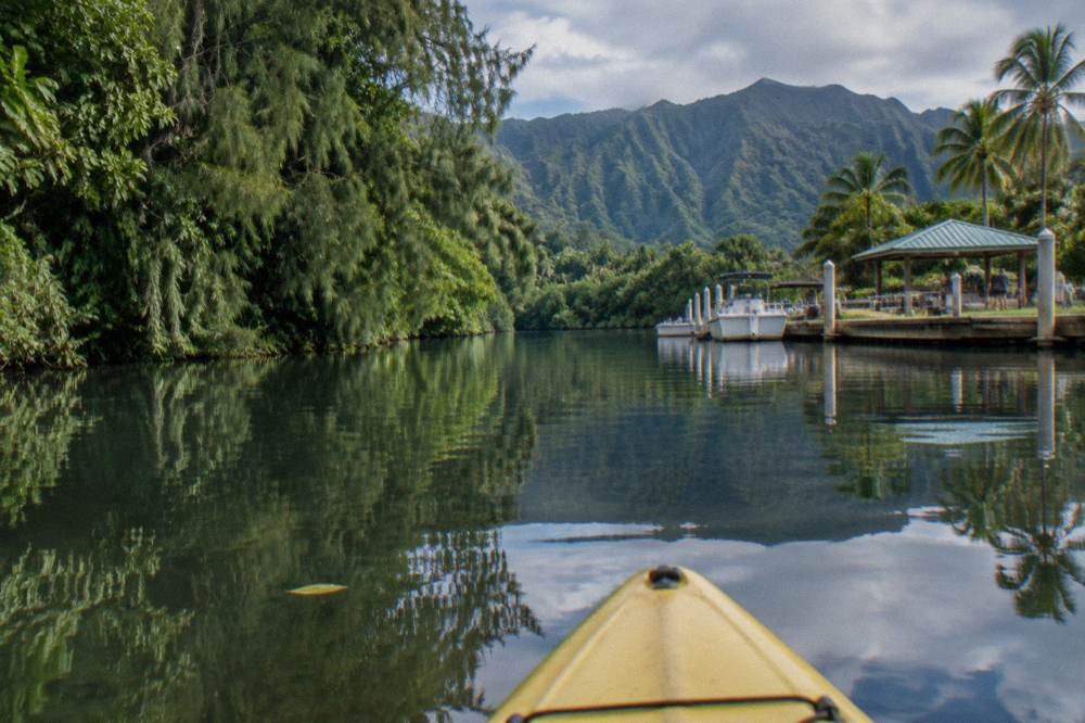 A calm jungle river at midmorning with green walls of vegetation reflected on the flat water