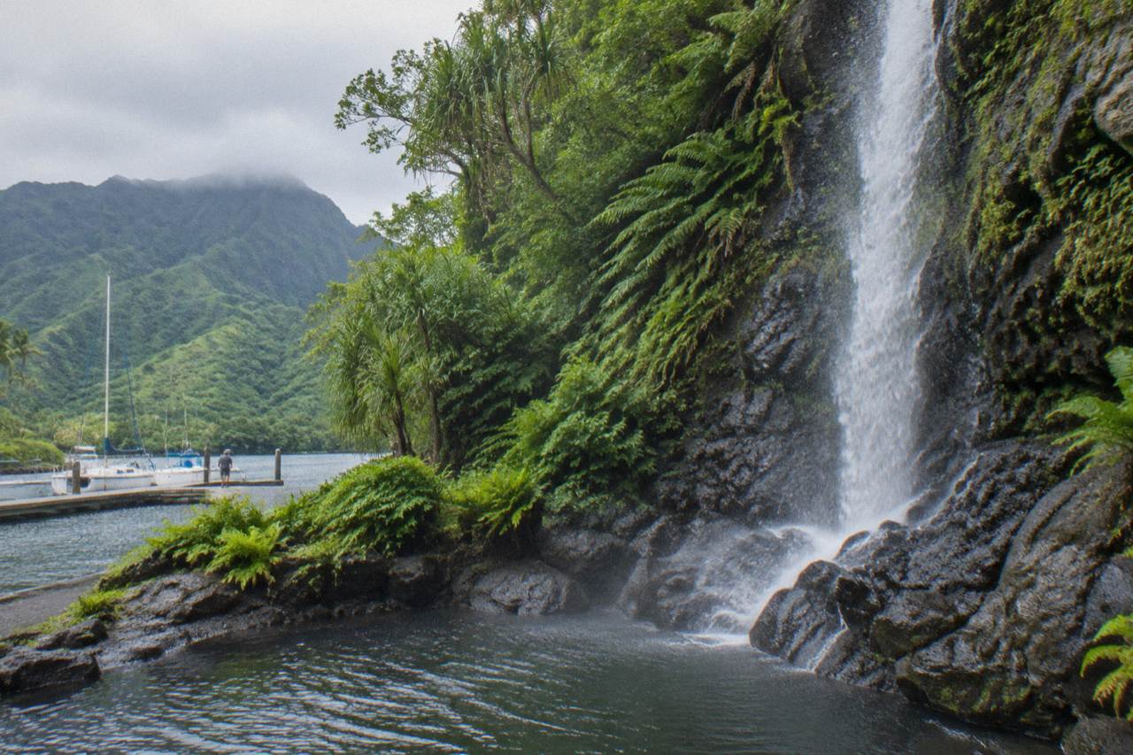 A tall ribbon waterfall dropping over a dark basalt cliff into a pool ringed by dense green jungle