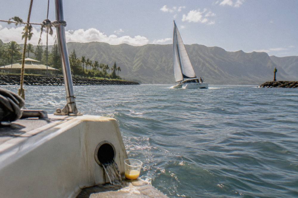 A catamaran under way on open water with green ridges on the horizon