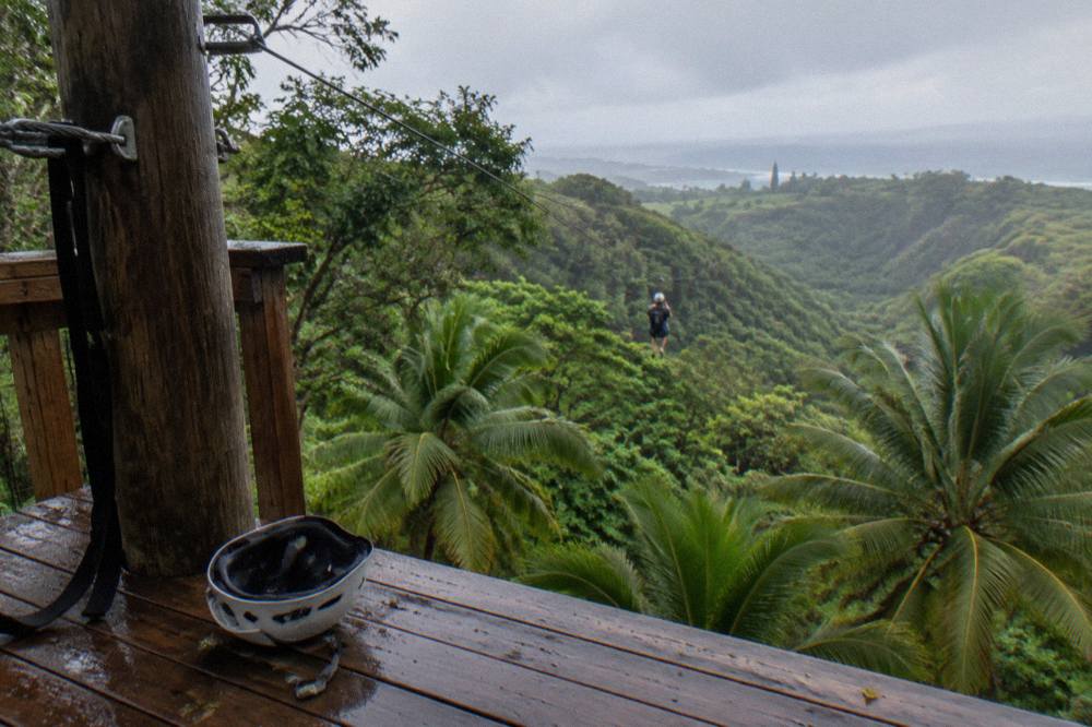 A zipline platform built into a treetop canopy above a forested valley