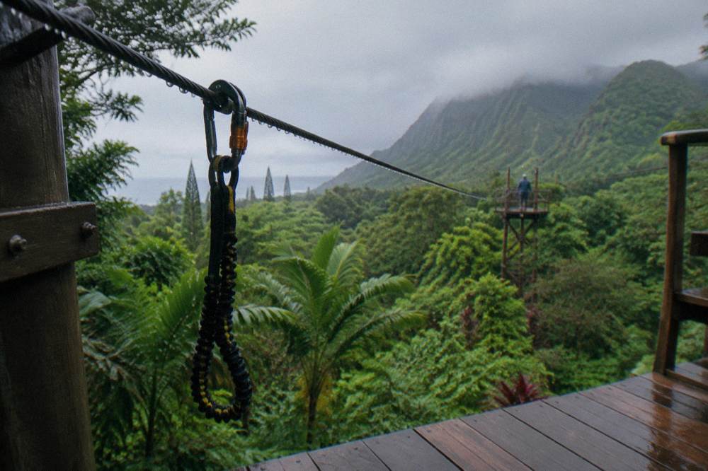 A steel zipline cable running between two tree platforms above jungle canopy