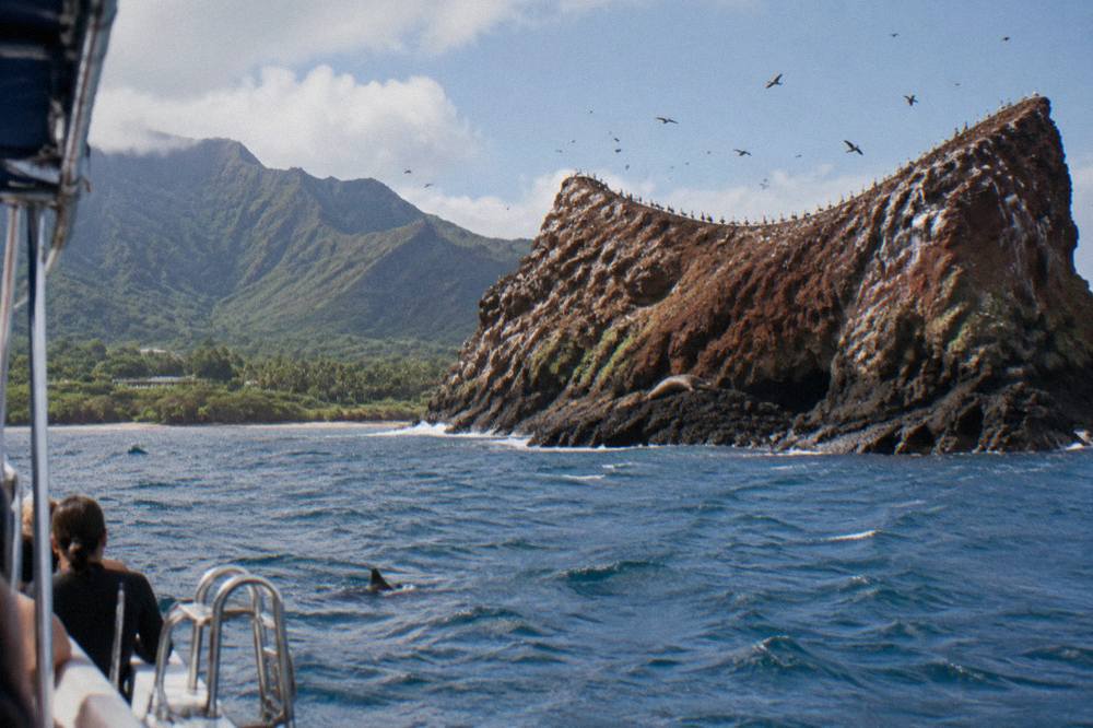 A crescent-shaped rocky islet in open blue water with seabirds circling above the cliffs and a snorkel boat anchored offshore.
