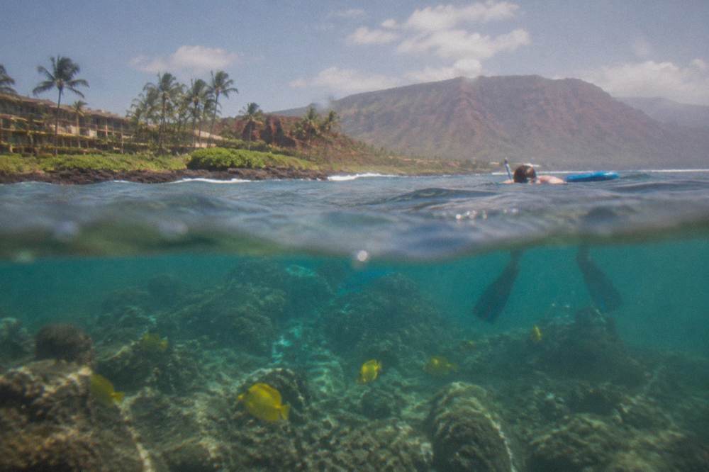 Clear turquoise water over a coral reef with tropical fish visible near the surface and a rocky shoreline in the distance.