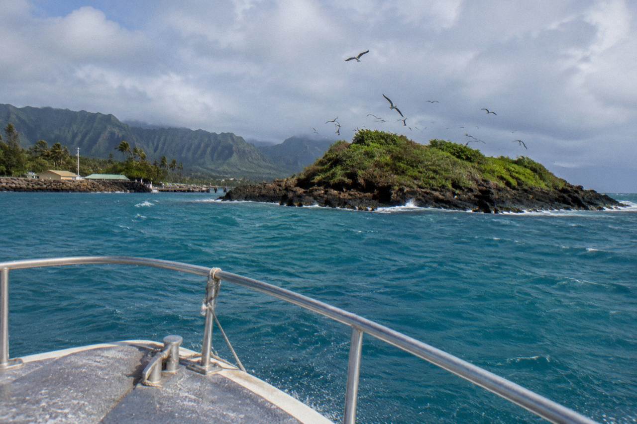 A small uninhabited islet with seabirds rising above turquoise water near a distant low Hawaiian island under scattered clouds.