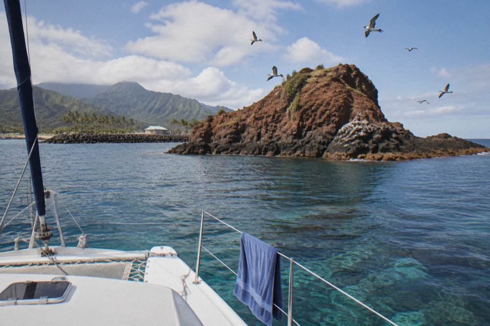 A catamaran anchored near a small rocky islet with clear water and seabirds overhead