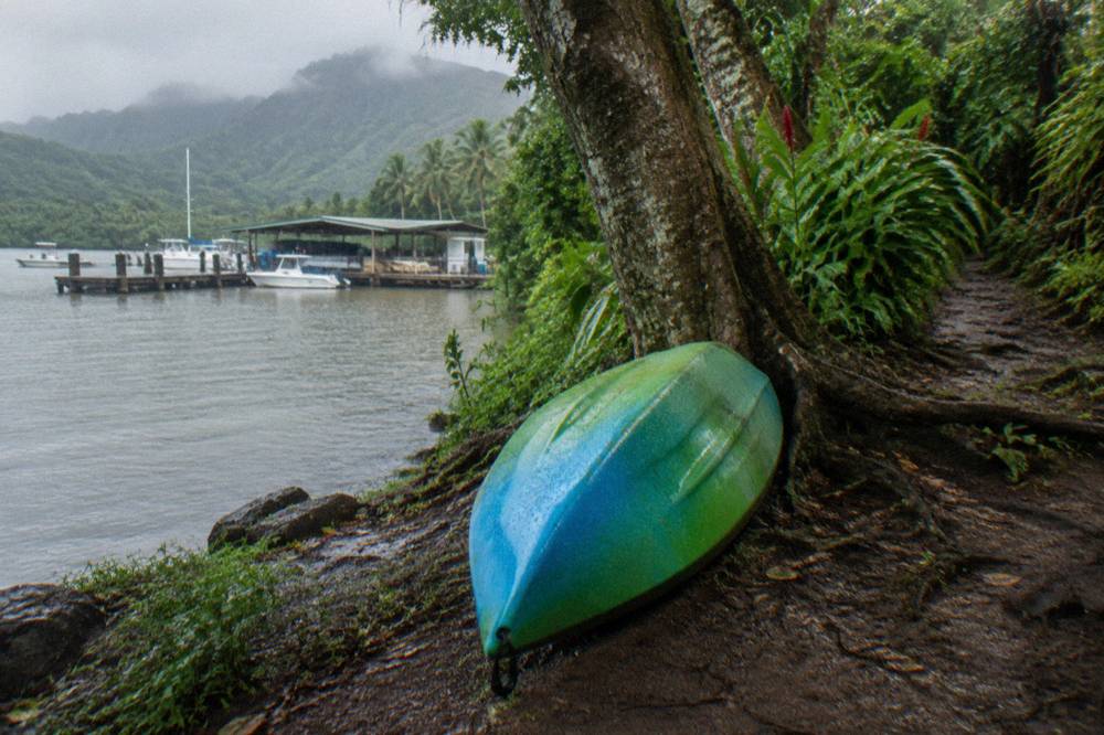 A kayak pulled up on a rocky riverbank beside a narrow trail entering dense rainforest