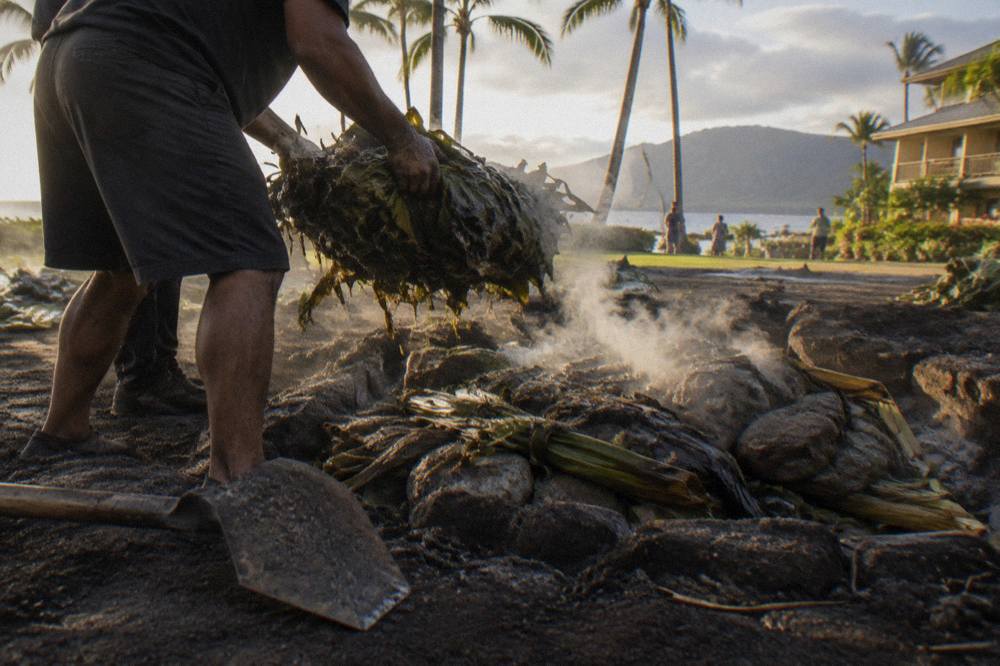 Kalua pig wrapped in ti leaves being lifted from an underground imu oven