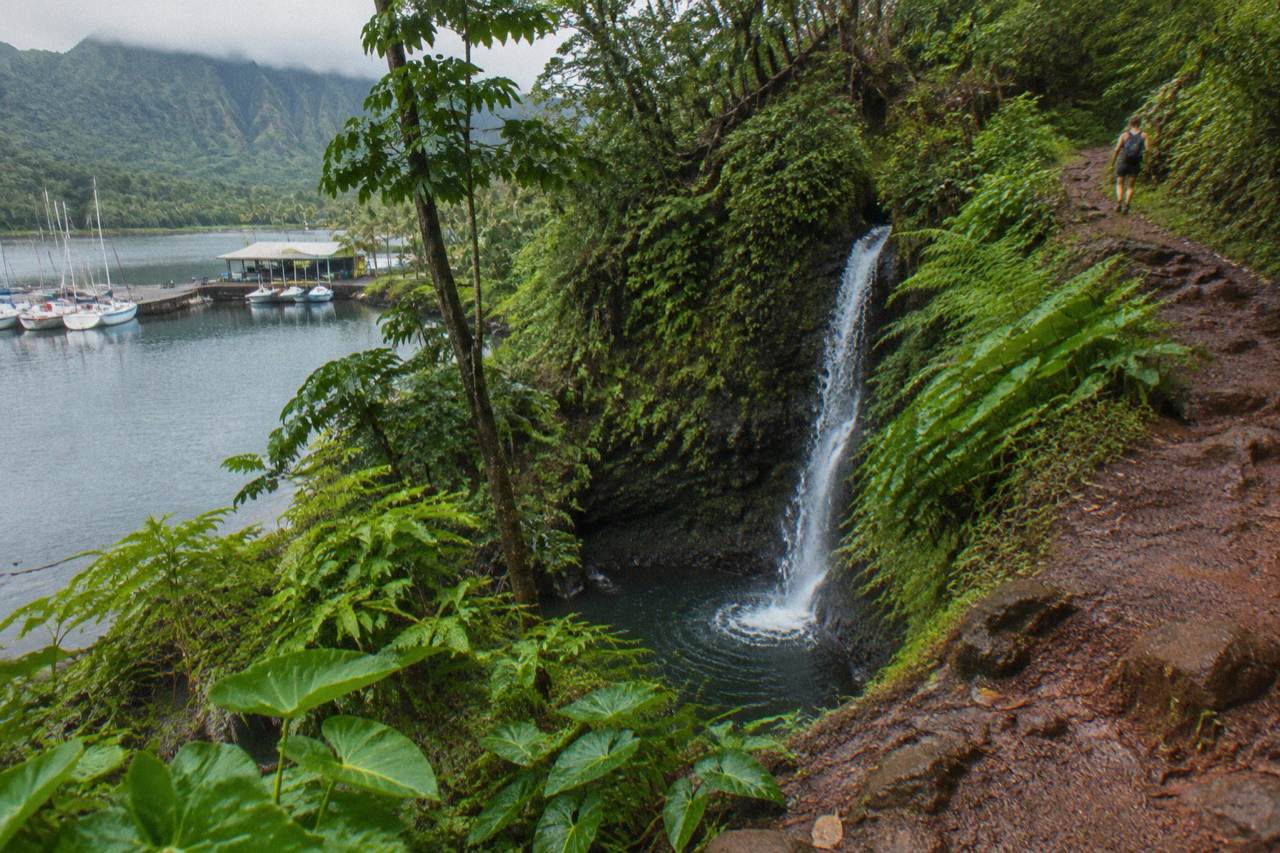 A jungle trail winding toward a narrow waterfall dropping into a shaded pool on Kauai