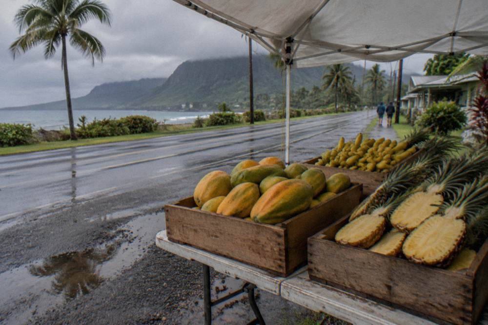 A farmers market stall loaded with papayas, bananas and pineapples under a tent beside a coastal road