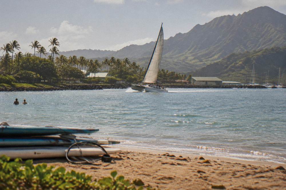 Sheltered bay with a catamaran under sail and palm trees along the shoreline.