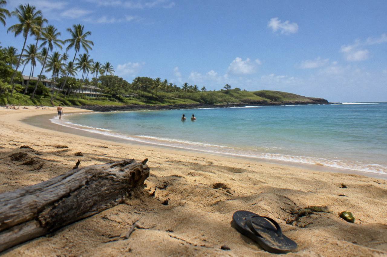 Golden sand beach fringed by palm trees curving toward green cliffs on a calm morning.