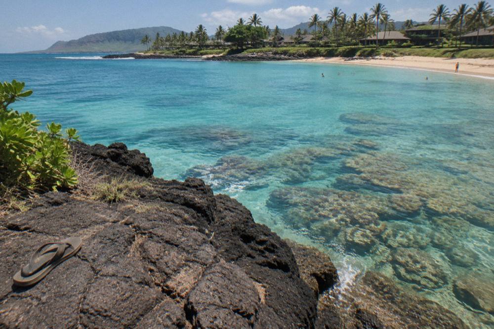 Coral reef in clear shallow water seen from above near a rocky Kauai shoreline