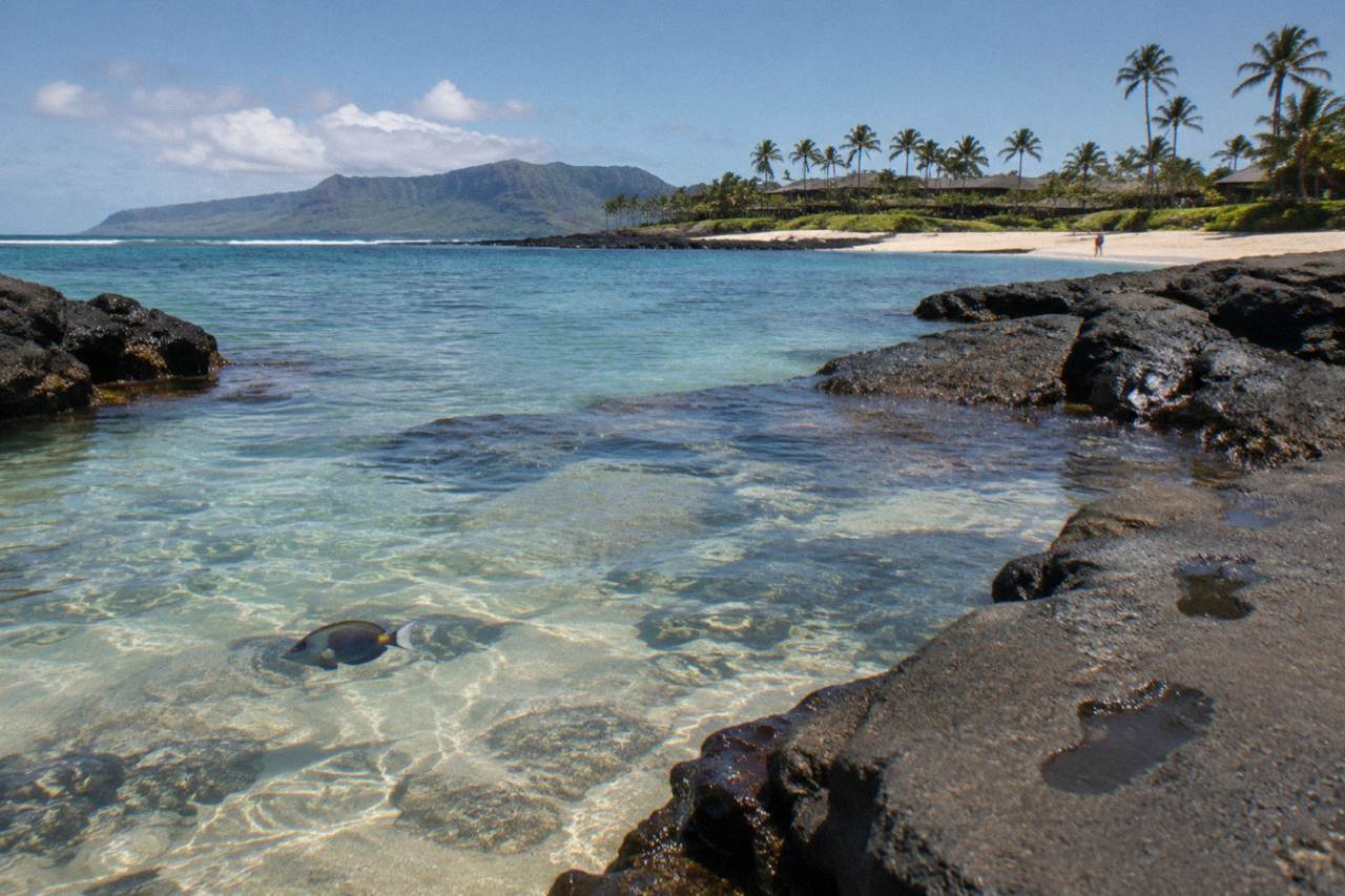 Calm turquoise reef water along a Kauai shoreline with lava rock