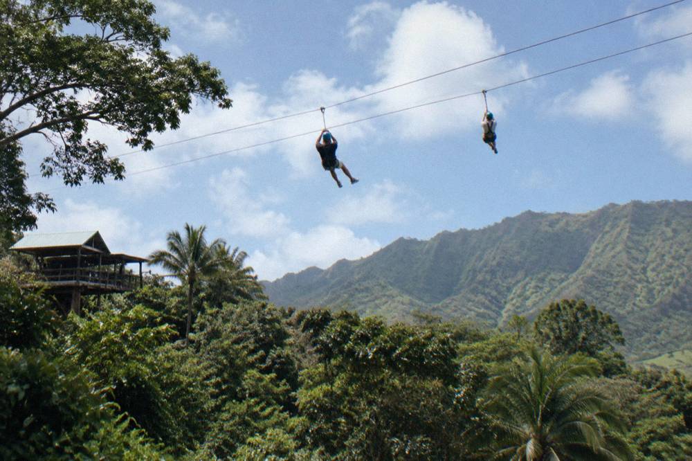 Riders in helmets and harnesses crossing a long cable above treetops