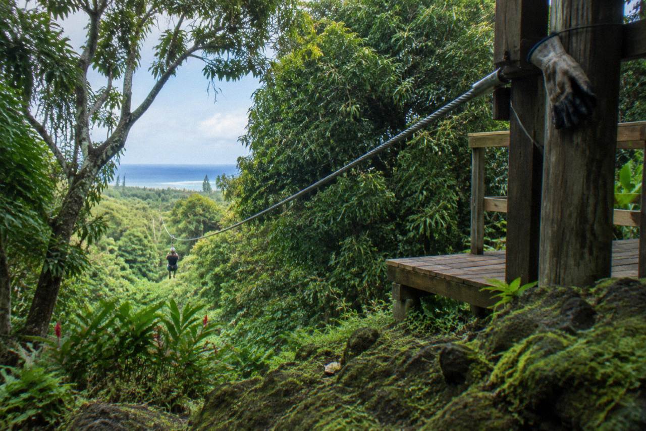 A zipline cable stretching over a green Kauai forest canopy