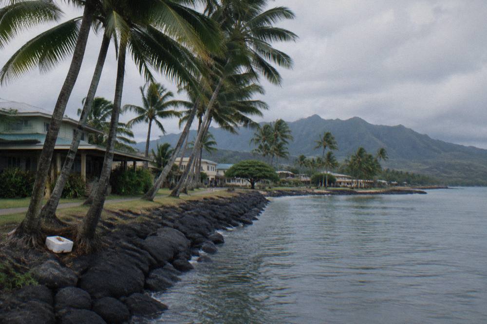 Palm trees along a Kauai coastline under a partly cloudy sky near calm water