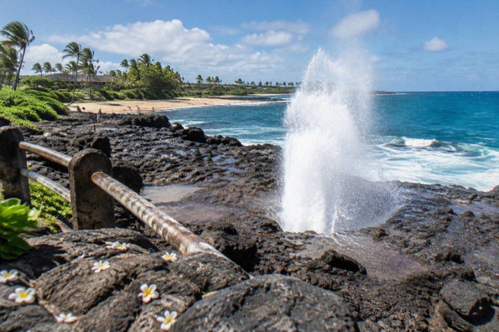 A blowhole shooting water into the air against a rocky coastline