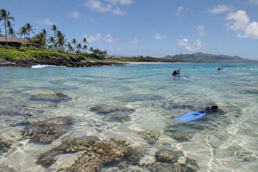 Snorkelers floating over a bright shallow reef in clear water