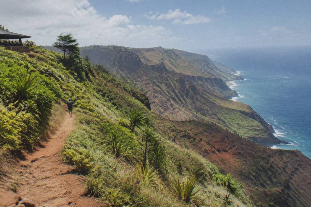 A narrow dirt trail winding along a green cliff above the ocean
