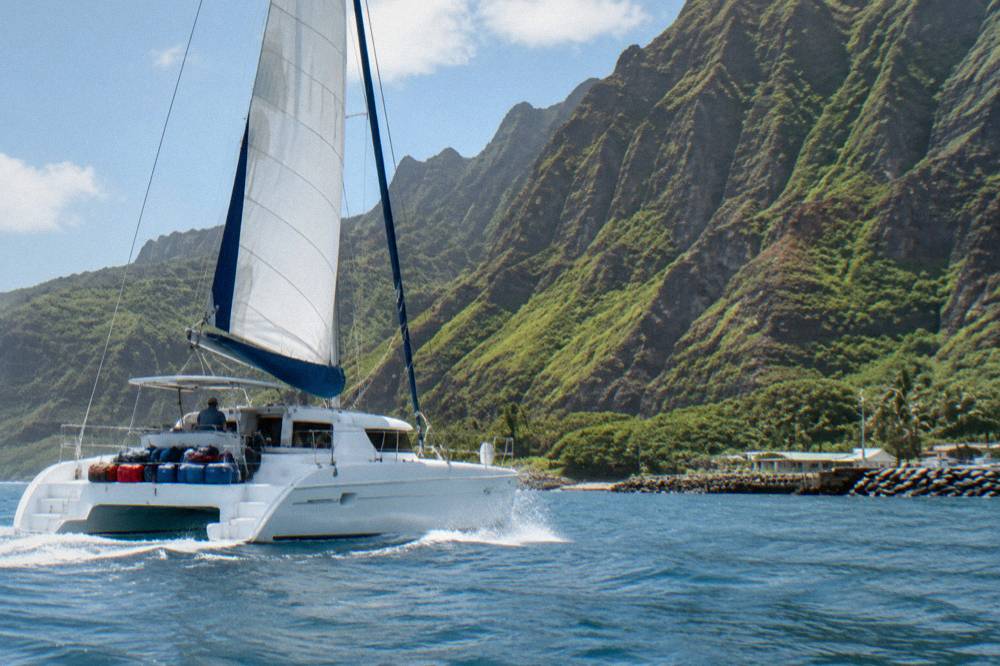 A catamaran cruising close to tall fluted sea cliffs at midday