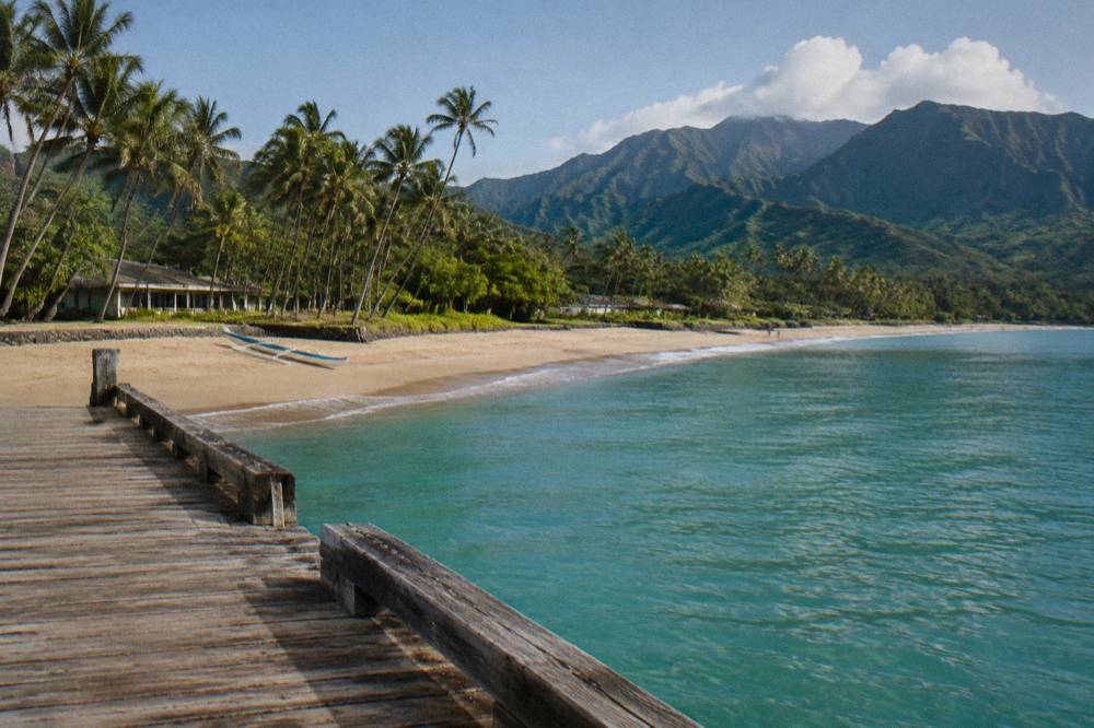 A calm turquoise bay fringed by palm trees under a clear morning sky