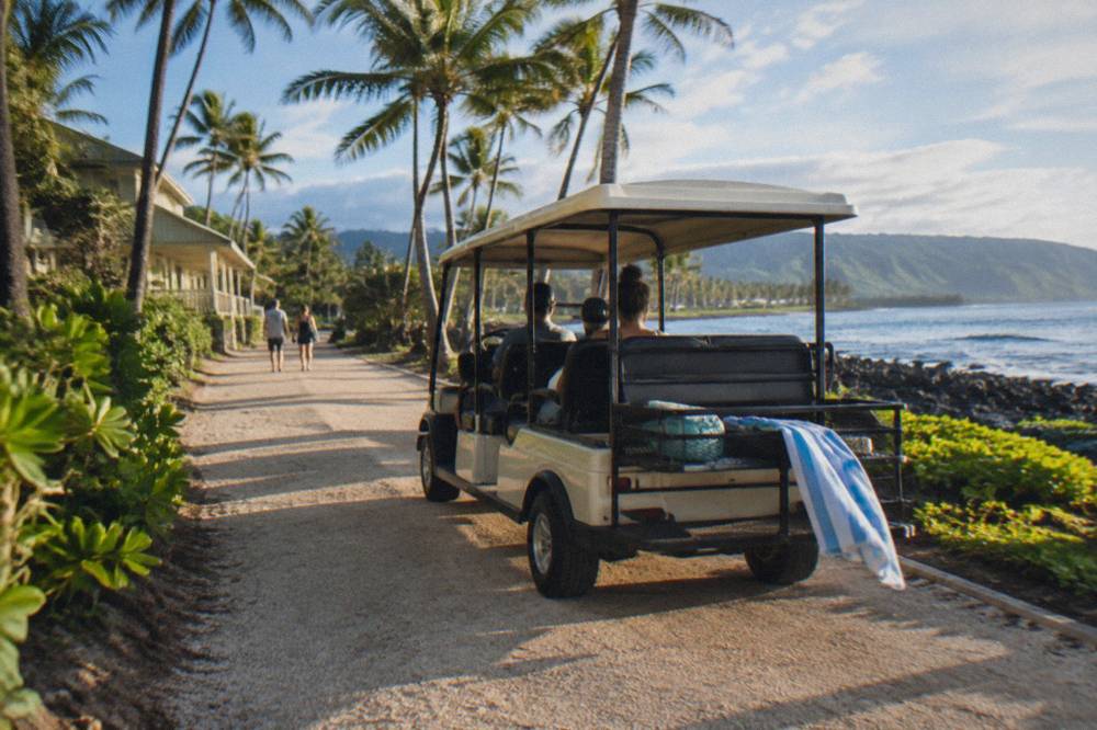 An electric bike on a coastal path with palm trees