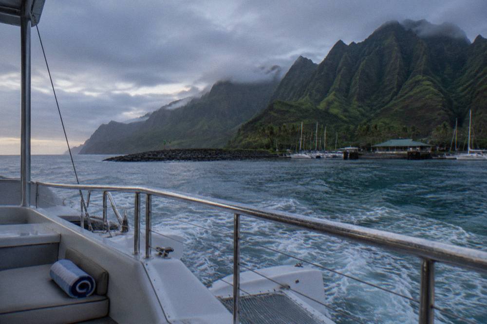 A catamaran underway on open water with green cliffs in the distance