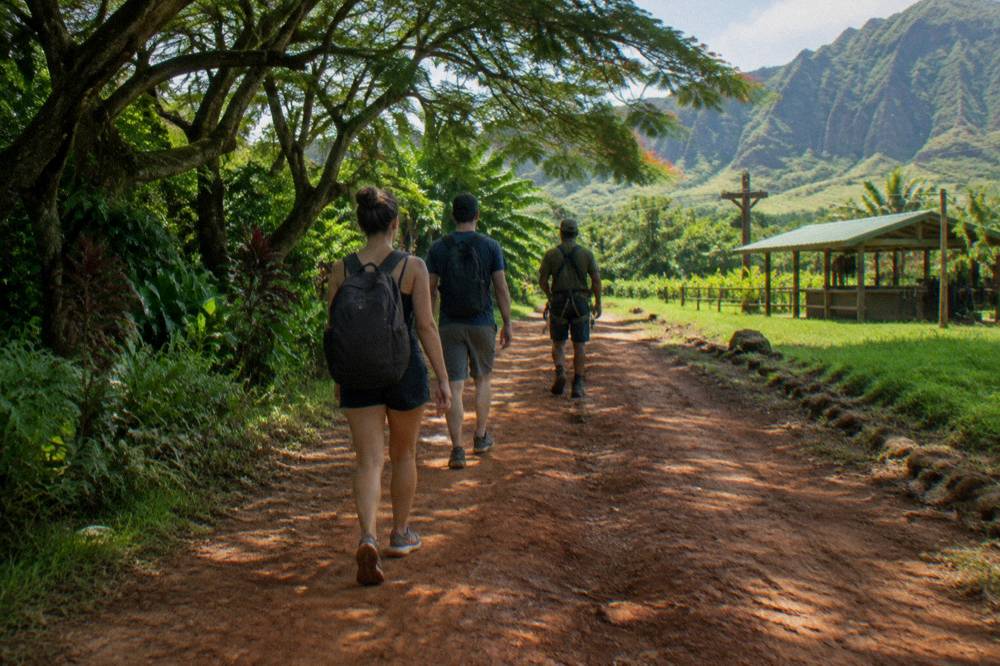 Couple walking a quiet tropical path beside a private guide