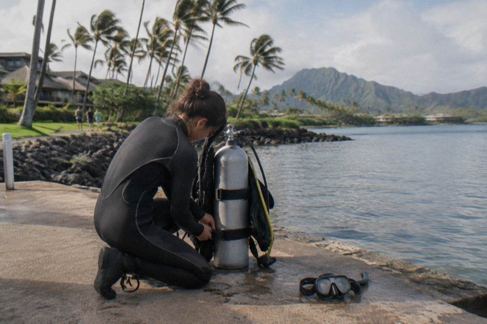 Diver preparing gear beside a calm shoreline with palm trees in the background