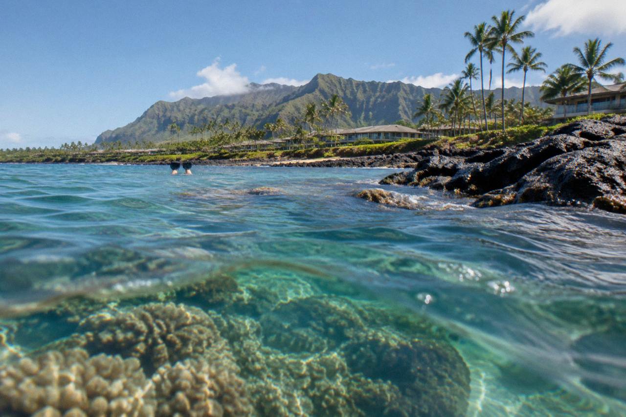 Coral reef and clear turquoise water along a Kauai shoreline