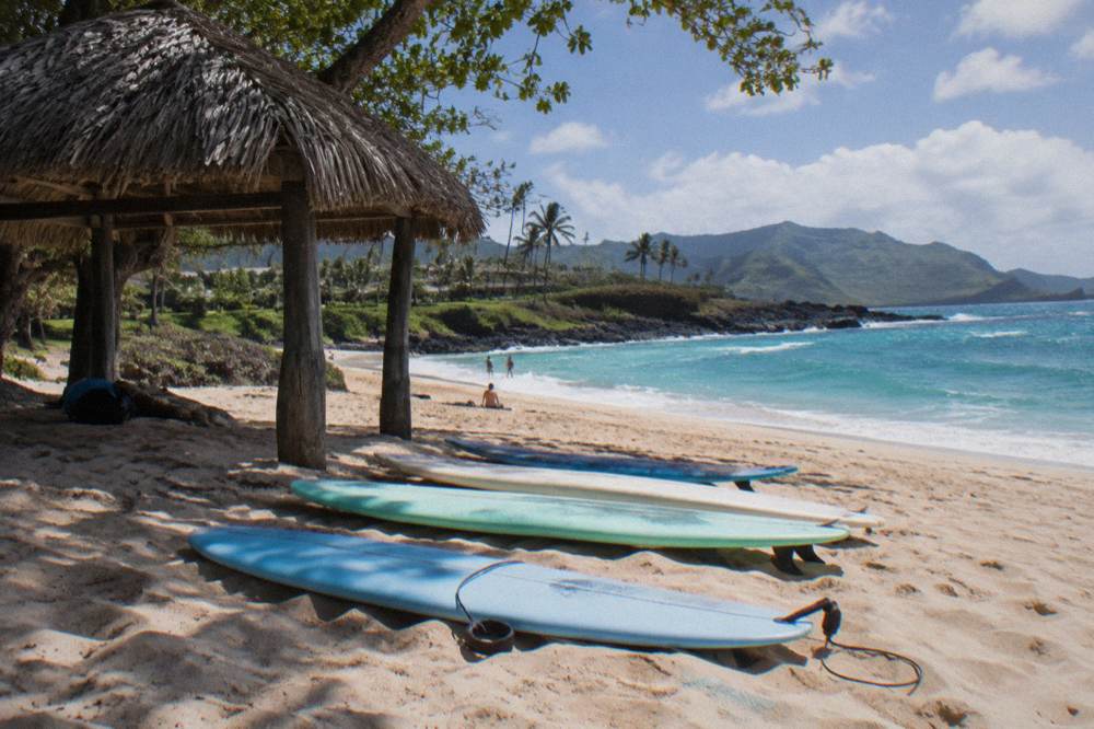 Soft-top surfboards lined up on sand beside a thatched shade structure