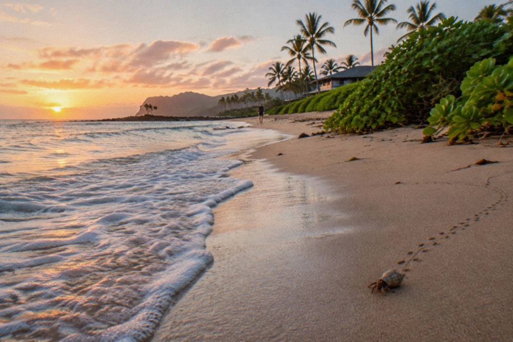 Gentle ankle-high waves rolling onto an empty sand beach at sunrise