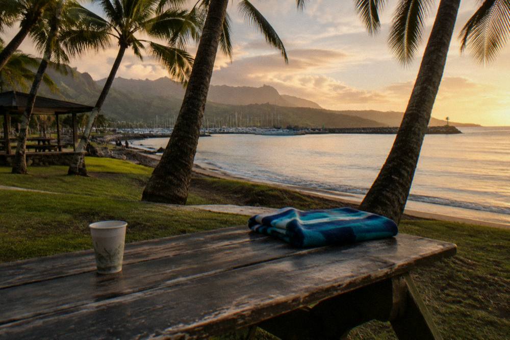 A wooden picnic table under palm trees beside a quiet beach at golden hour