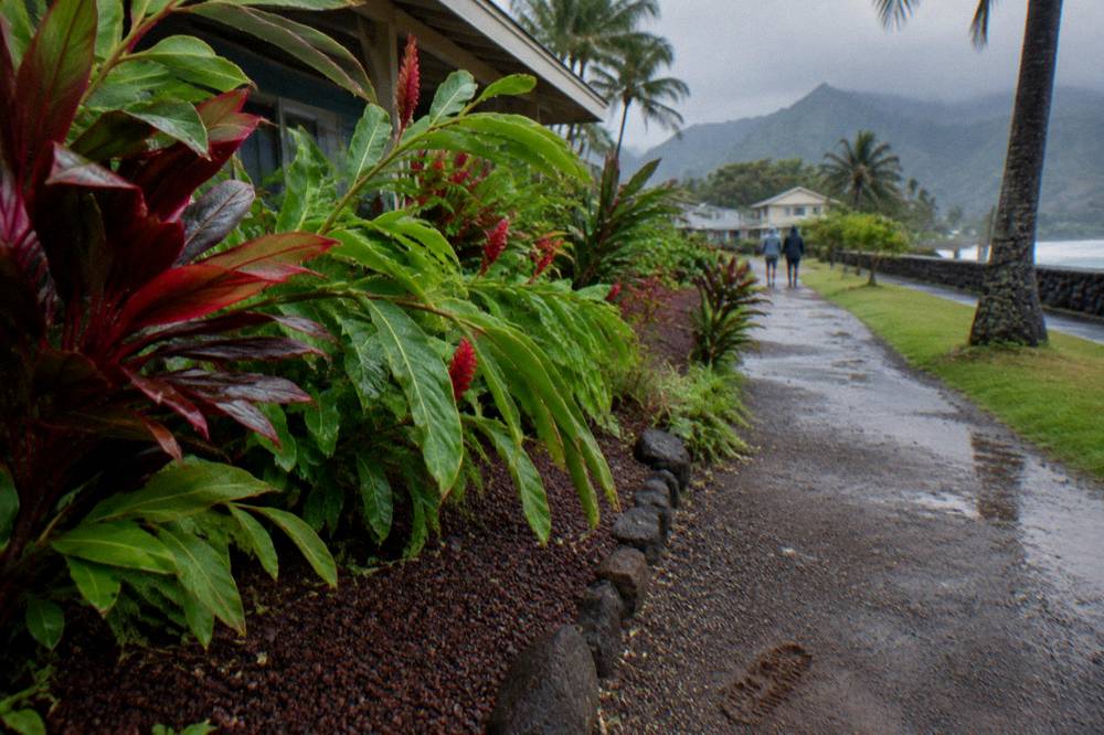 Tropical foliage heavy with rain droplets beside a Kauai garden path