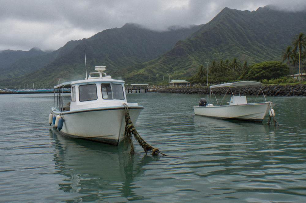 A calm tropical bay with tour boats at anchor and green cliffs in the background
