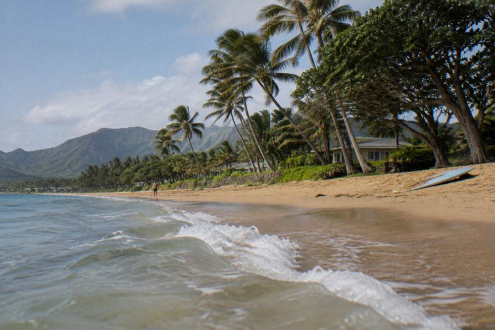A gentle surf break rolling onto a wide sandy beach with palm trees